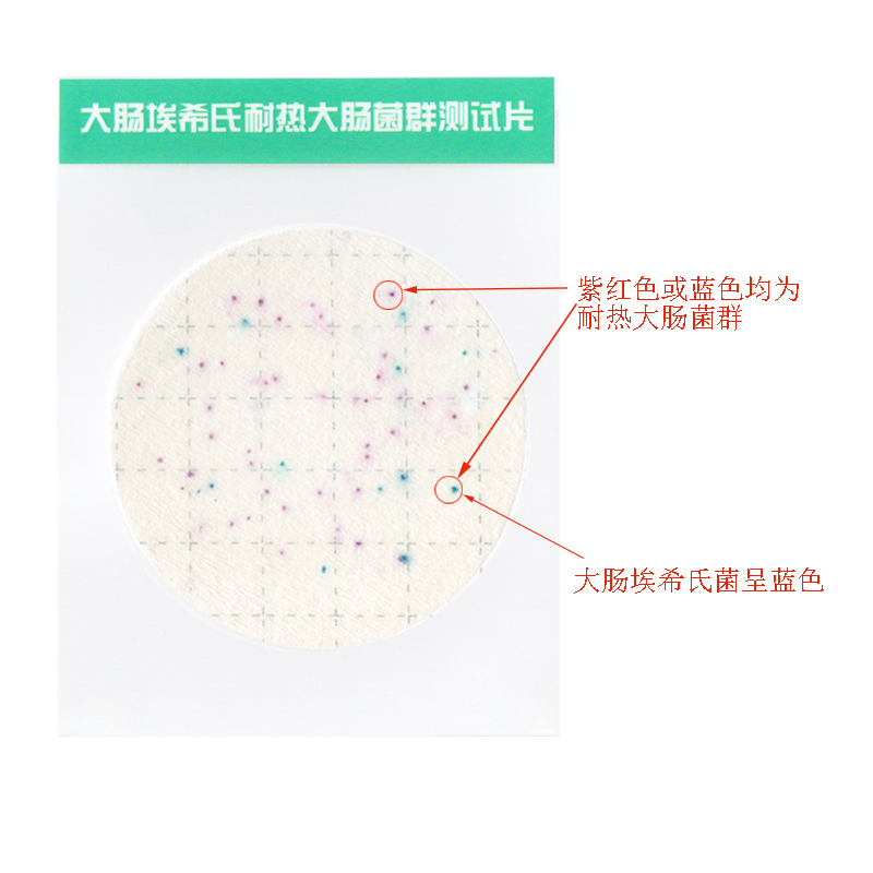 耐熱ECC陽性.jpg