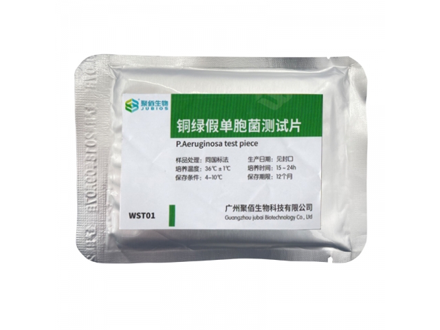 銅綠假單胞菌測試片